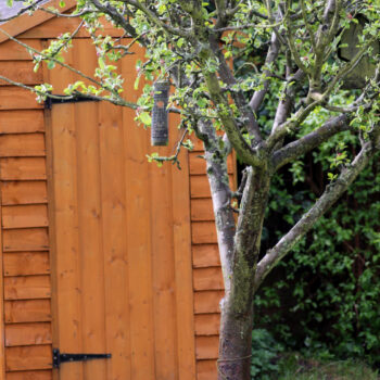 Expert Tips for Building the Perfect Garden Shed
