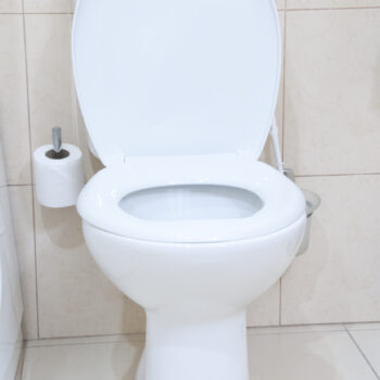 Step-by-Step Guide: Installing a New Toilet in Your Home